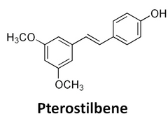 Pterostilbene with Niagen