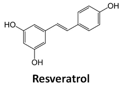 resveratrol with niagen nicotinamide riboside