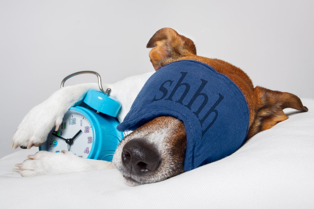 sleep quality affects endurance