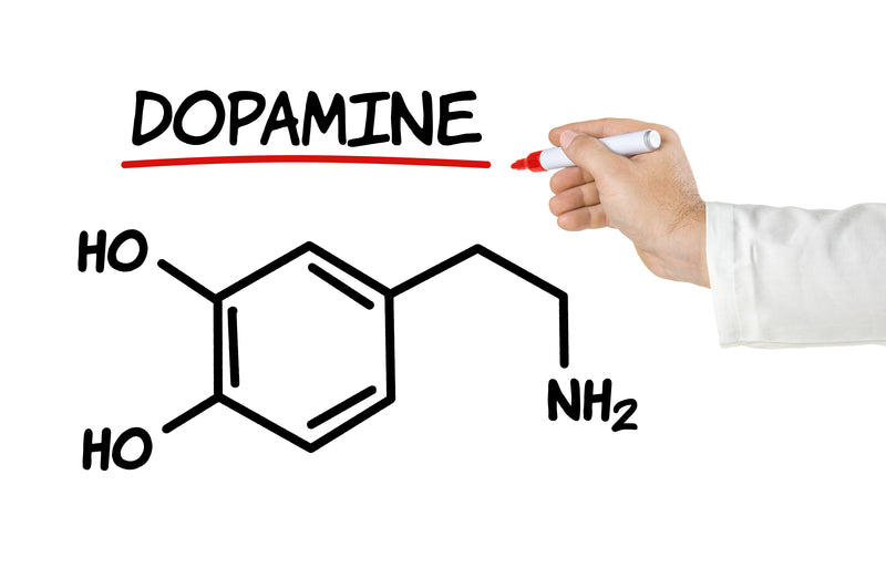 what is dopamine