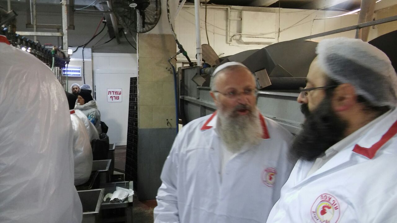 ביקור הרב אליהו במשחטת עוף טרי ובריא צפת