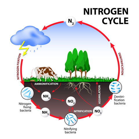 Residential Nitrate Removal