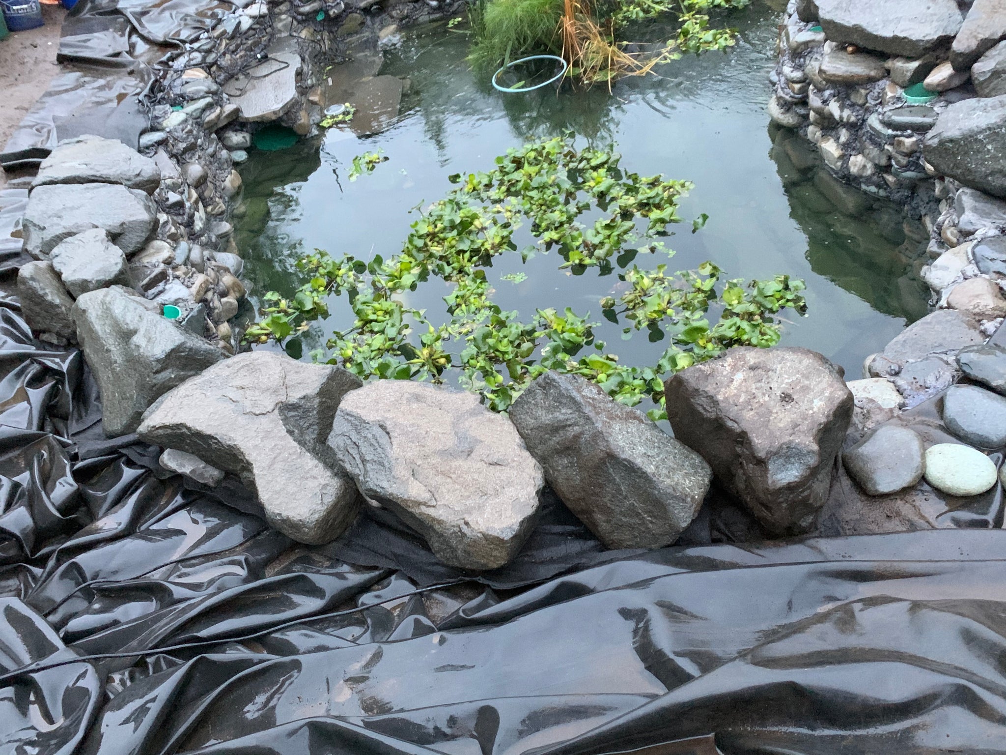Placing Larger boulders on the top ledge of pond