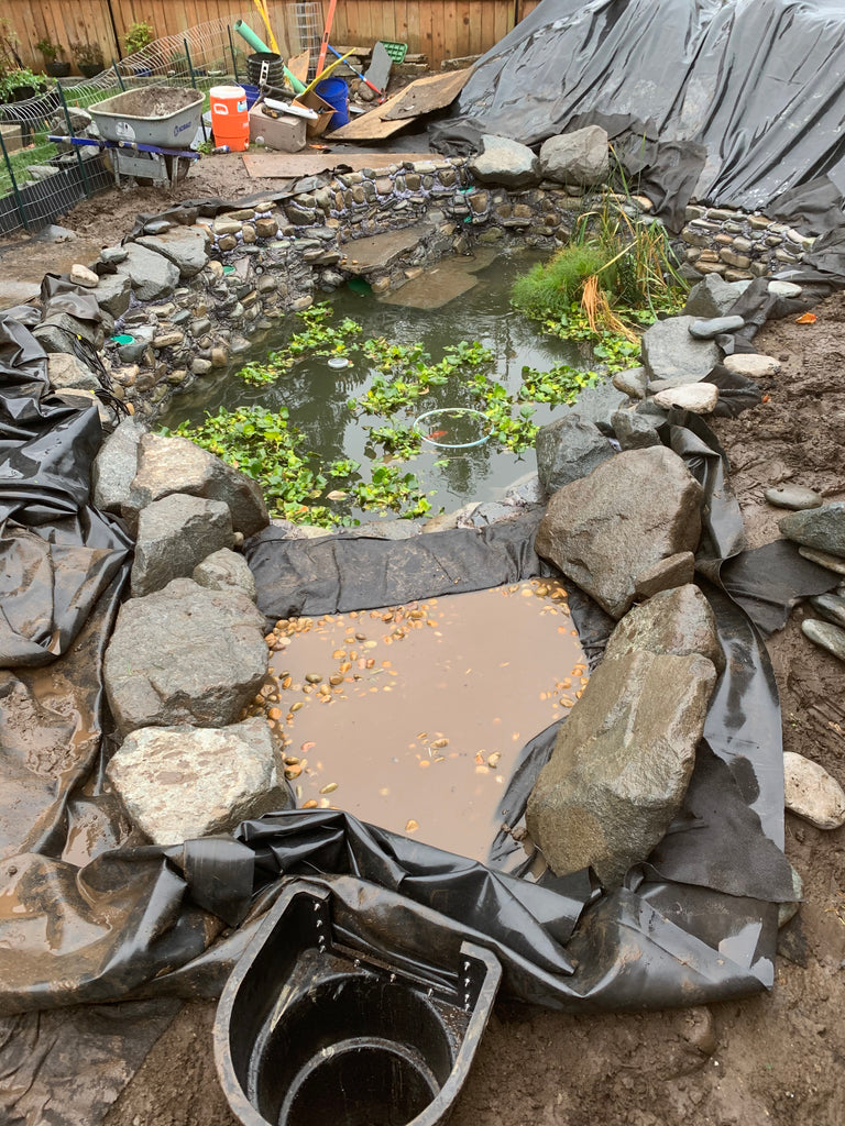 Justin McKinnis Pond Building 101 remote skimmer