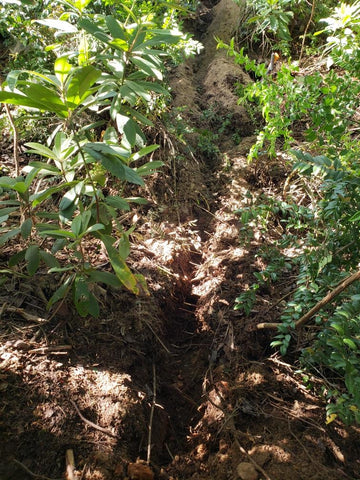 Keven Gravier Pond Build - Digging Trenches