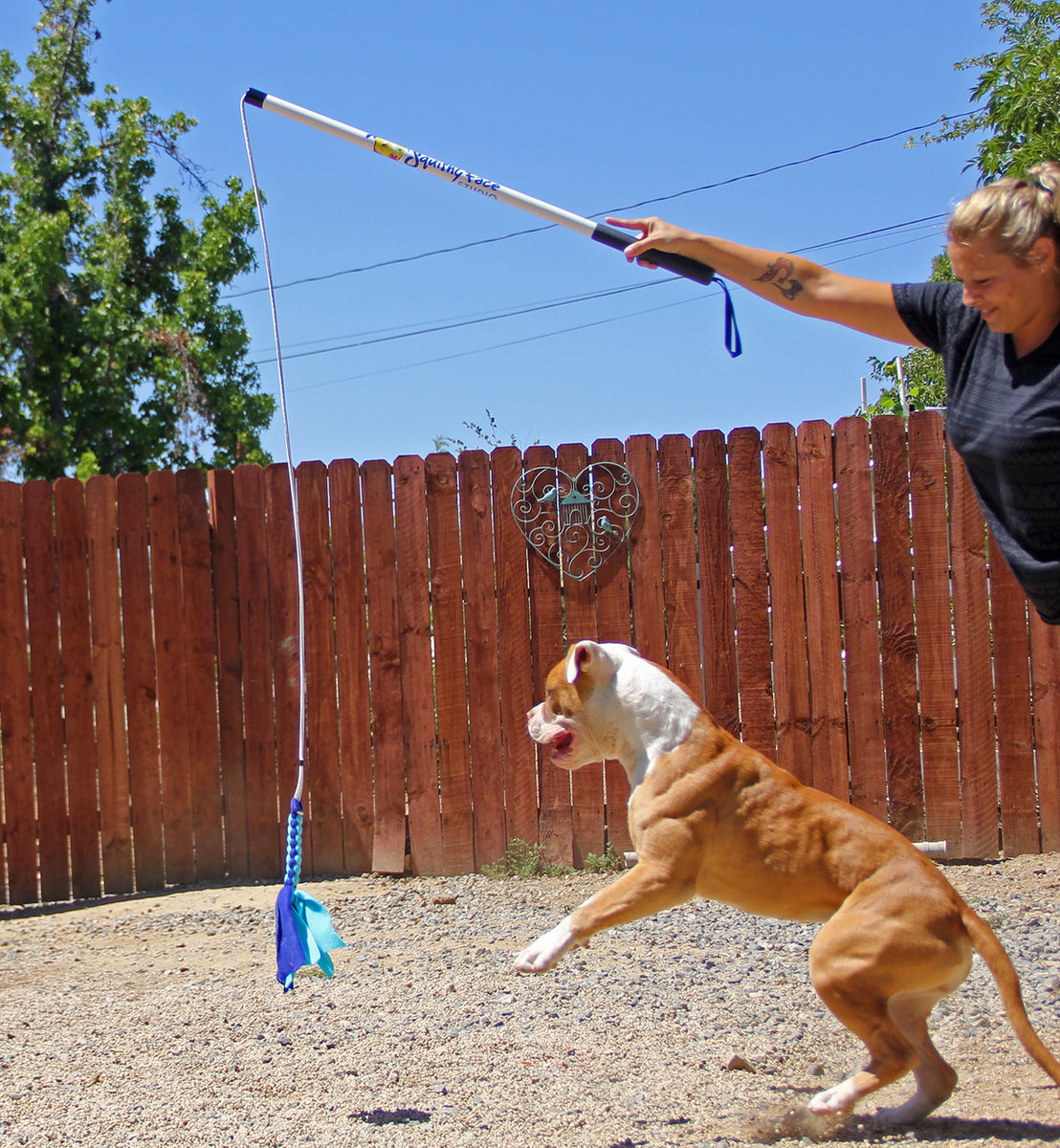 flirt pole for dogs