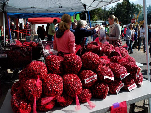 Cranberry Festival in Stone Lake, WI - Annual Cranberry Harvest Fest