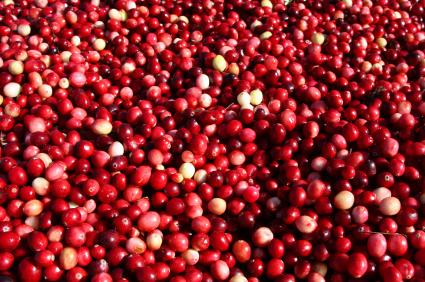 Popular Cranberry Festival in Stone Lake, Wisconsin