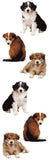 Variety Pack of Sticker Strips!
