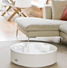 alp interior coffee table