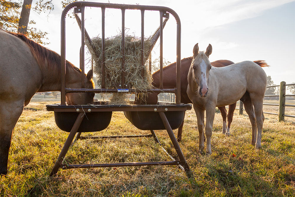 Priefert Pasture Horse Feeder Hay Rack Feeders Sparr Building