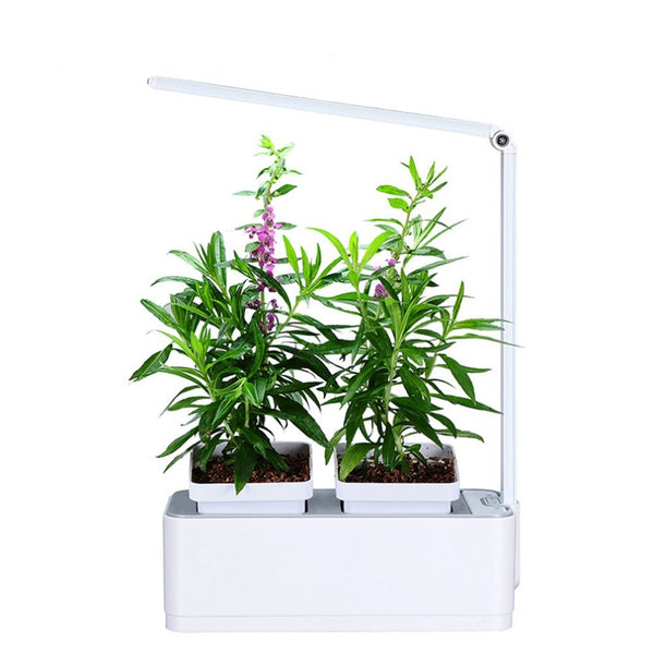Greenearth Mini Indoor Smart Hydroponics Plant Herb Garden Kit