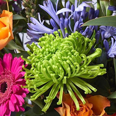 Colourful mix bouquet for mother's day with Postabloom