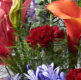 Sangria bouquet - red carnations for Mother's Day