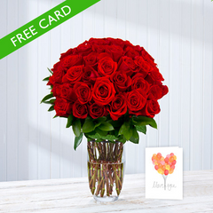 Ultimate Love - 50 roses postabloom