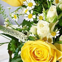 Yellow flowers for spring and easter