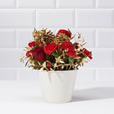 all that glitters festive plant gift from postabloom