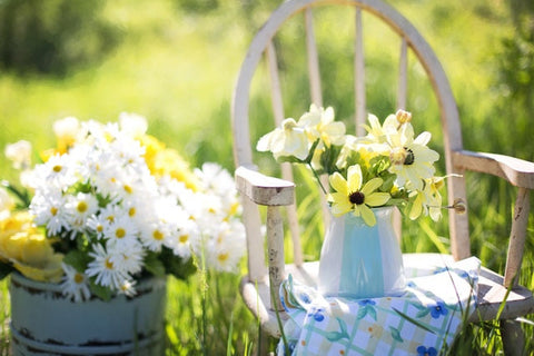 flowers during the summer months