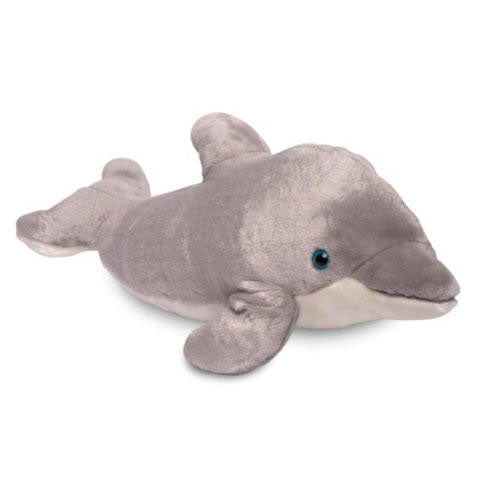 dolphin teddy