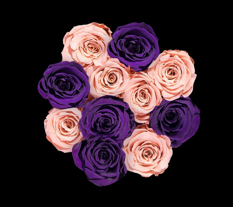 checkered_peach_plum