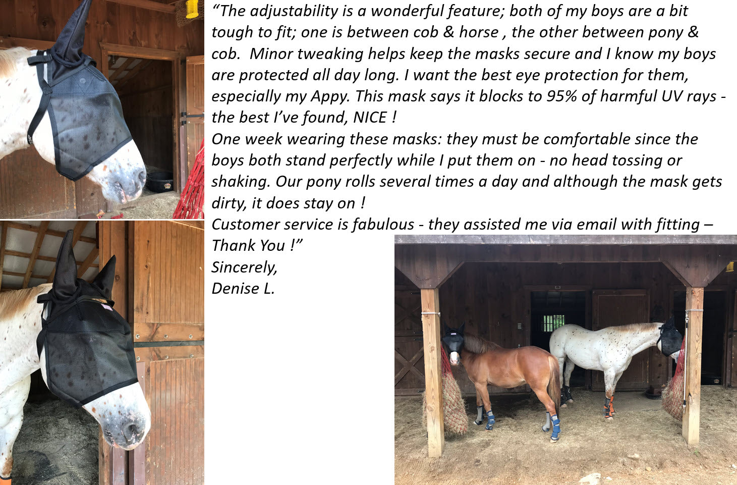 Protective Pet Solutions Testimonial