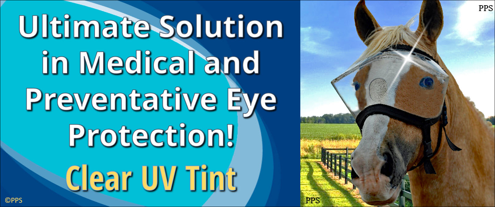 Recovery Vizor for Horses - UV Eye and Face Protection