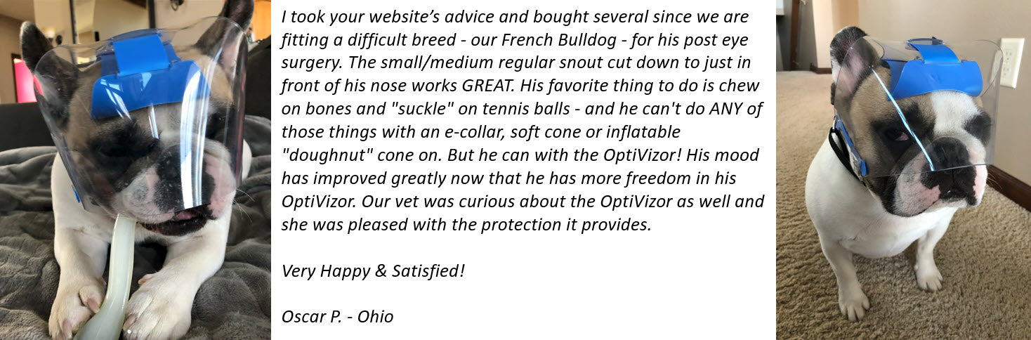 Protective Pet Solutions OptiVizor Testimonial