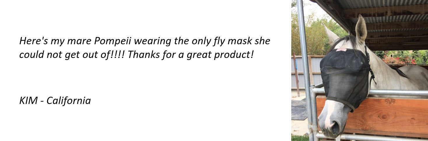 Protective Pet Solutions Testimonial