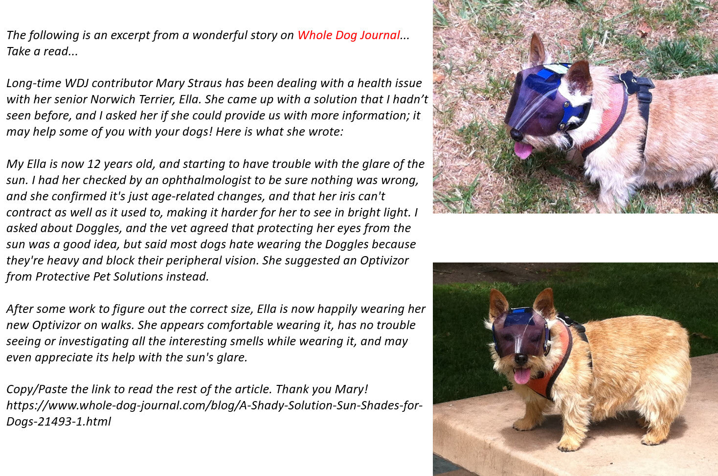 Protective Pet Solutions Testimonial