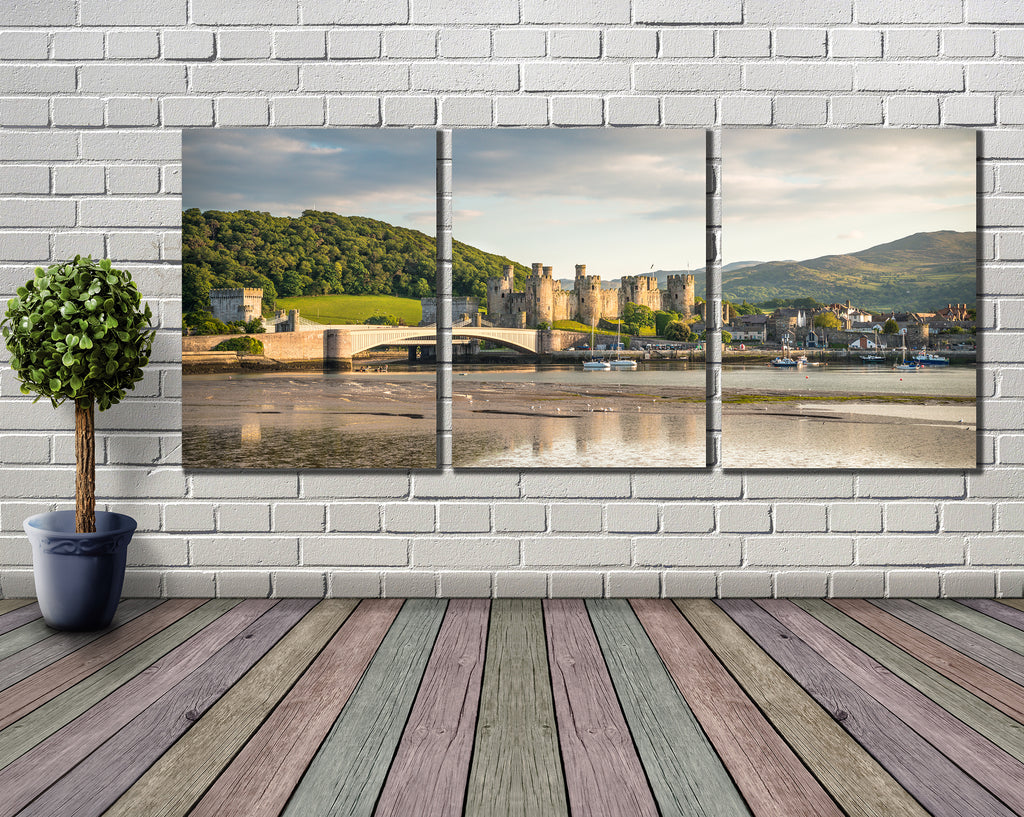 Smart Imaging & Framing - Canvas Wrap Triptych Sample Wall Mounted Image