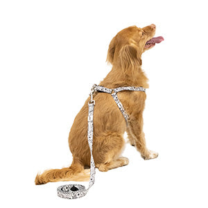 White Pet Leash