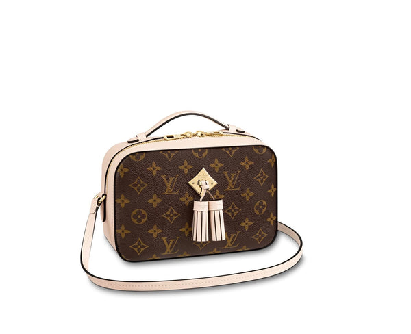 Louis Vuitton Bags On   Natural Resource Department