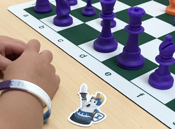 Silicone chess pieces, colorful chess wristbands, and sticker