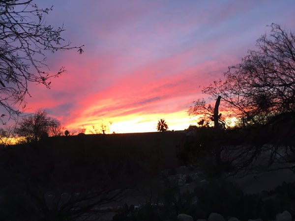 Sunset over the desert, Tucson Arizona