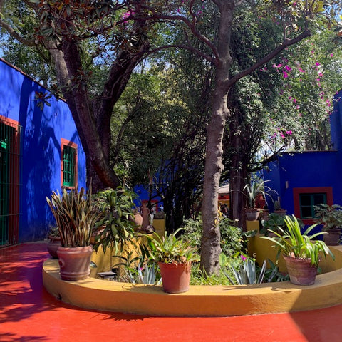 Frida Khalo's House, Mexico