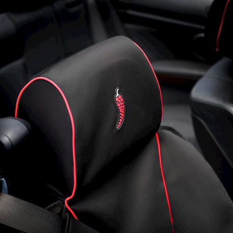 car seat protector - dry rub spicy black red