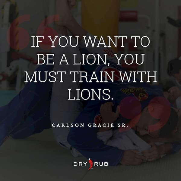 fitness quote - lion