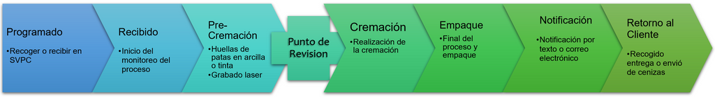 NUESTRO PROCESO