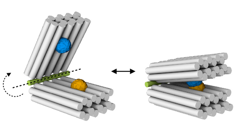 DNA origami hinge