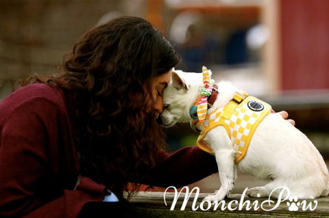 Monchi and Chihuahua Hug
