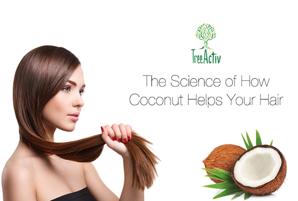 The Science of How Coconut Helps Your Hair - TreeActiv Blog
