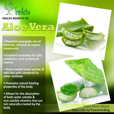 TreeActiv Natural Ingredients Aloe Vera