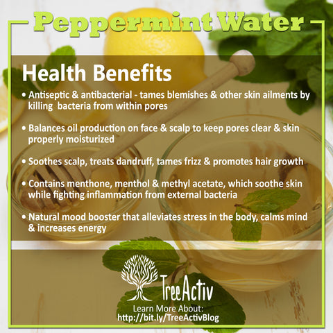 TreeActiv Peppermint Water Health Benefits