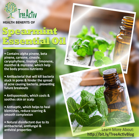 TreeActiv Spearmint Essential Oil Health Benefits