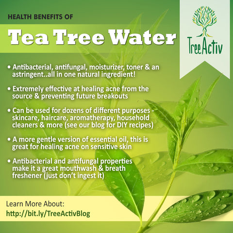 TreeActiv Tea Tree Water Health Benefits
