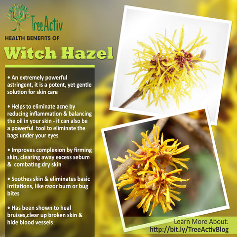 TreeActiv Witch Hazel Health Benefits