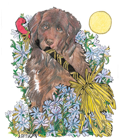 Lorrieart-Chichory -Dog-cute -dog-and-herb- and witchy artart