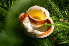 Tea-Leaf-Reading-in-Yarrow