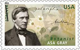 Asa Gray US Postage Stamp