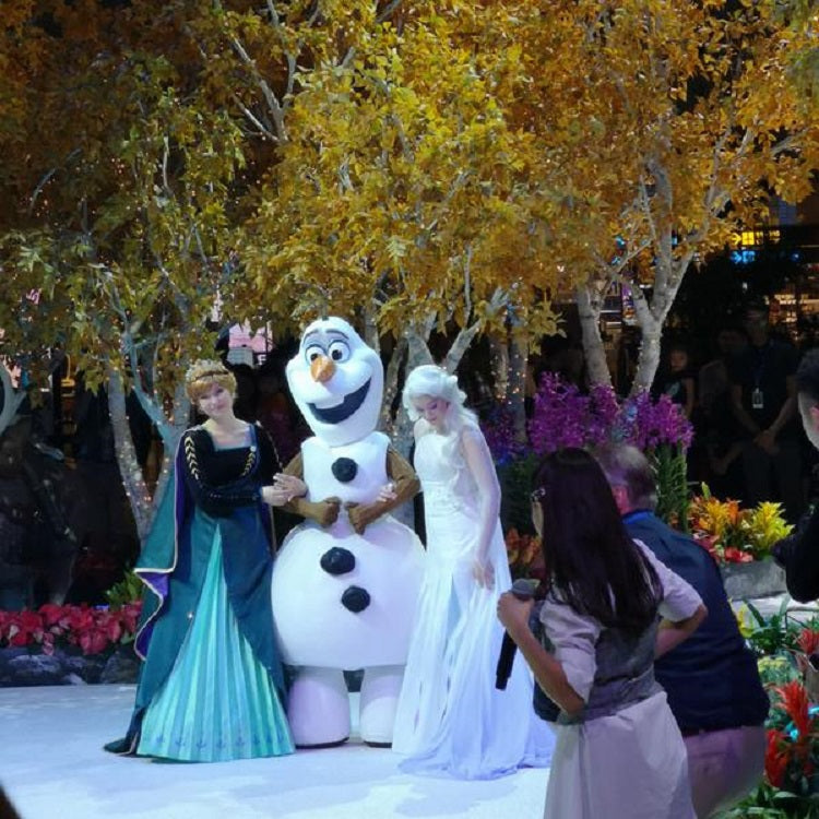 Free Things to do 2019 - A Frozen Wonderland in Changi
